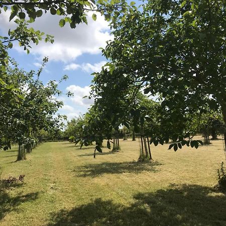 Vakantiehuizen 'T Centrum Oostkapelle Exteriör bild