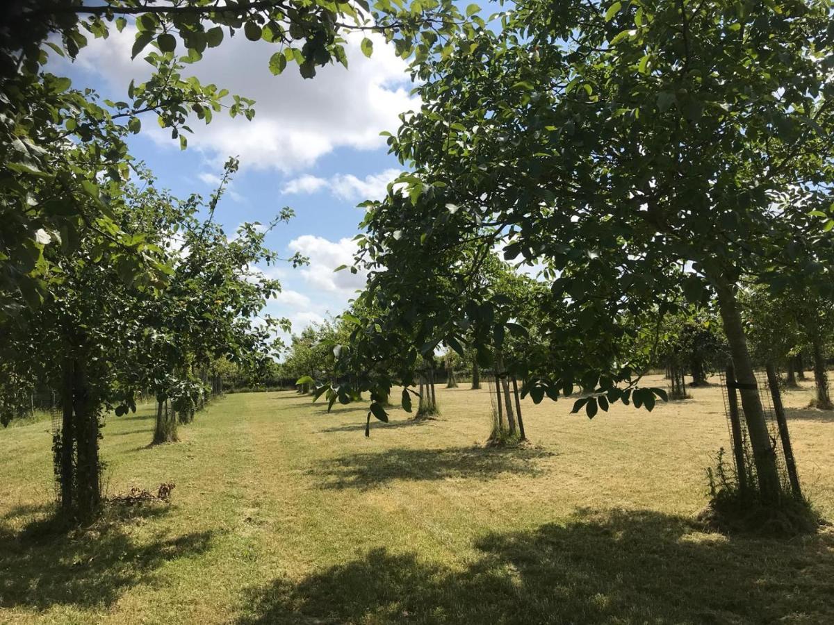 Vakantiehuizen 'T Centrum Oostkapelle Exteriör bild
